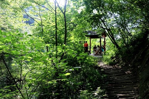 太白药王谷旅游攻略(亳州药王村旅游攻略)1