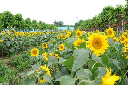 从西宁到兰州旅游攻略(西宁周边旅游攻略)1