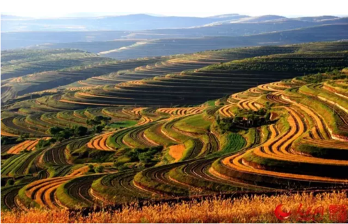 宁夏旅游总体规划(杭州市旅游发展总体规划)2