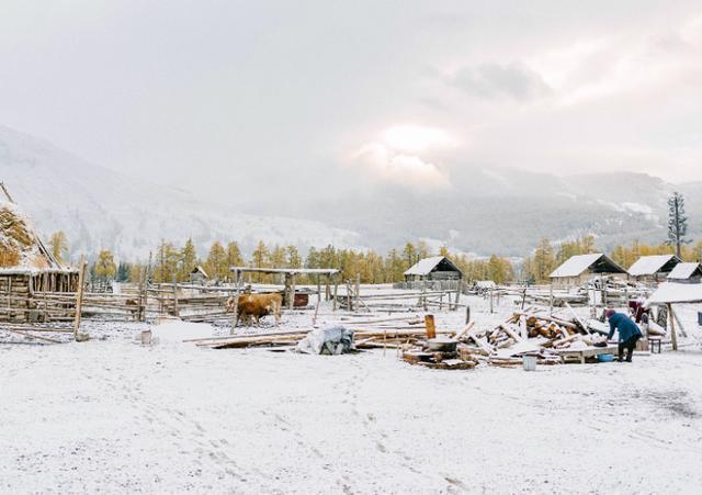 国外冬天适合旅游的地方(冬天适合去国外哪里旅游)2
