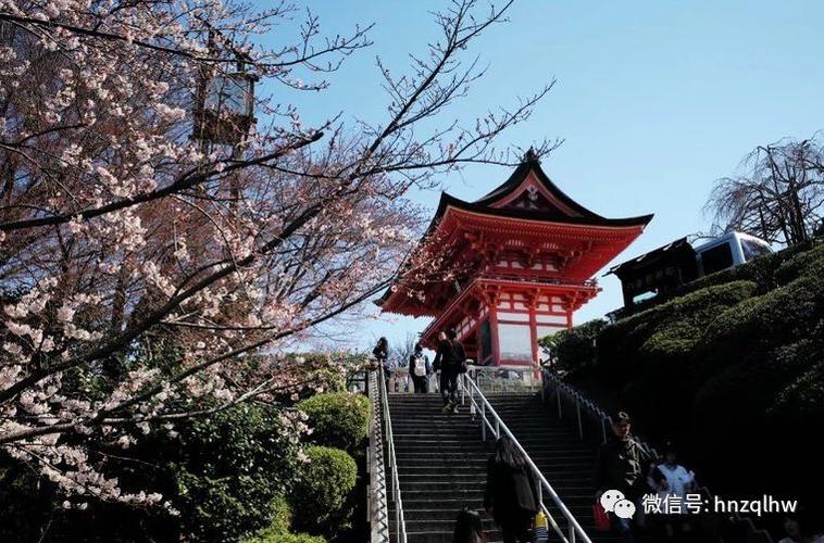 8月份日本适合旅游吗(几月份去日本旅游最好)2