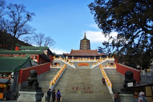 惠旅游一日游保险1