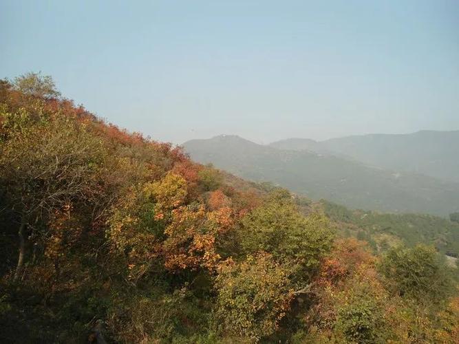 黄鹤楼旅游解说词(黄鹤楼的解说词20字)1