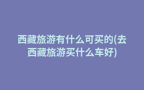 西藏旅游有什么可买的(去西藏旅游买什么车好)1
