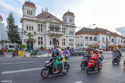 山东青岛旅游日照(福州到山东青岛旅游报价)1