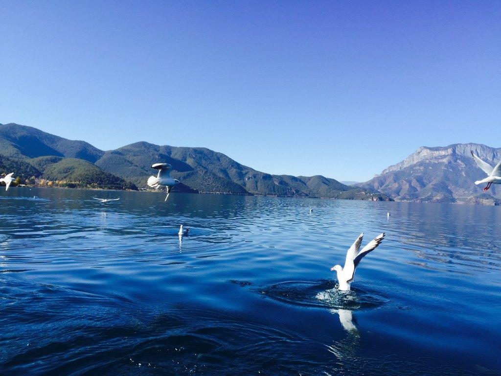 5月婺源旅游攻略(江西婺源旅游攻略)1