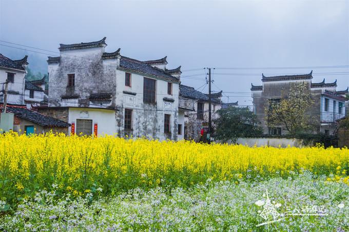 5月婺源旅游攻略(江西婺源旅游攻略)2