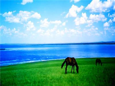 比较有个性的旅游景点(比较近的旅游景点)2