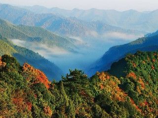 浙江湖州安吉旅游景点(安吉有哪些景点)1