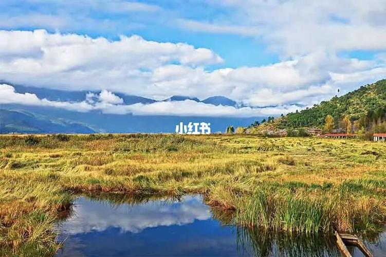 德国新天鹅堡旅游(德国新天鹅堡英文介绍)1