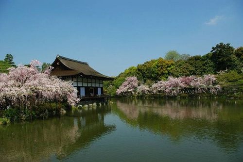 京都旅游景点大全(京都的旅游景点)1