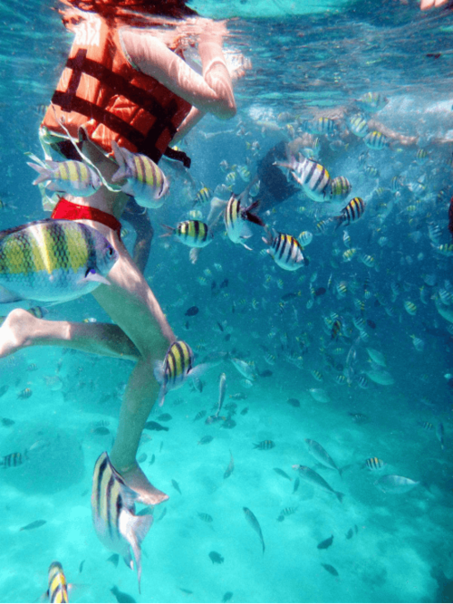 香格里拉旅游攻略图片(香格里拉旅游攻略景点大全)1