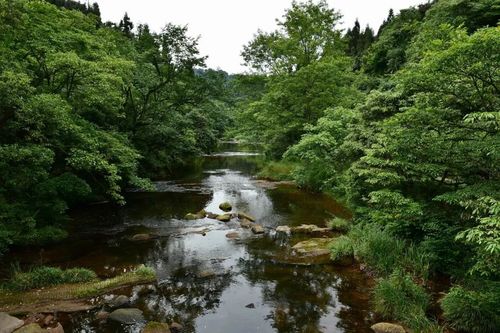 我国乡村旅游人数(我国乡村旅游存在的问题与对策)1