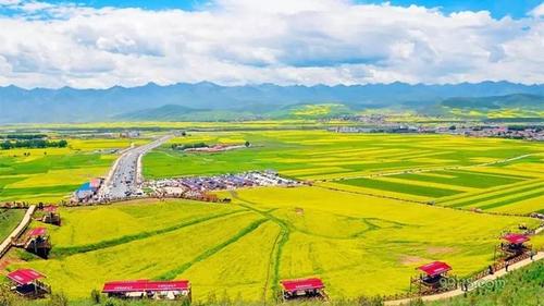 西宁著名旅游景点(西宁周边冬季旅游景点大全)1