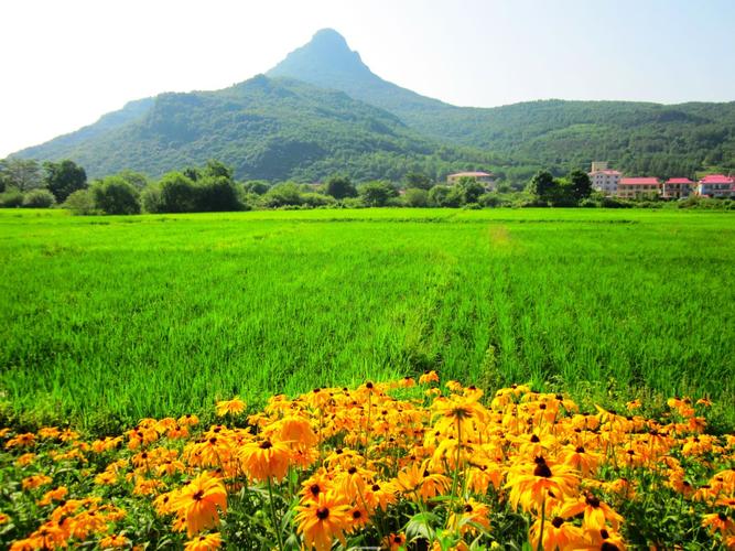 尚志夏季旅游攻略(夏季哈尔滨旅游攻略)1