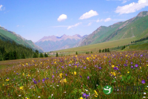 伊宁附近旅游景点大全(伊宁特克斯县旅游景点)2