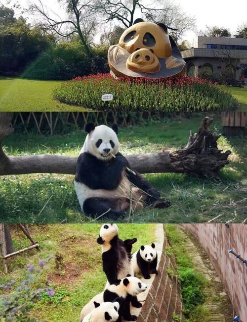 格里菲斯公园旅游介绍(格里菲斯公园平面图)2