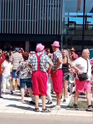 荷兰同志旅游攻略(荷兰鹿特丹旅游攻略)1