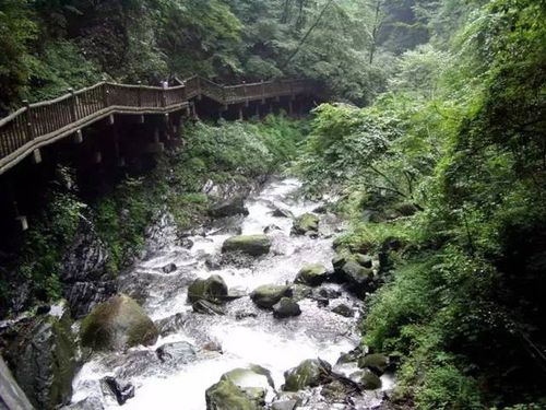 安县附近旅游景点(福建诏安县旅游景点)2