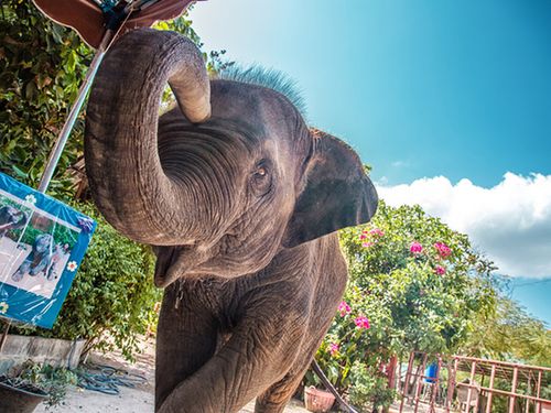 菲律宾旅游电话卡(菲律宾电话卡短信发不出去)2