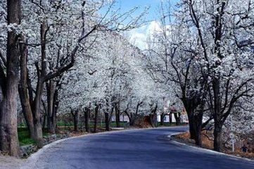 淄博周村旅游攻略(周村古城旅游攻略)2