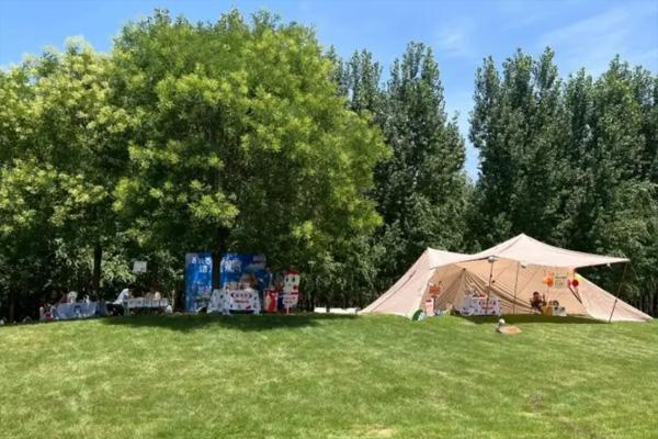 天津嚒嚒兽梦幻森林游玩攻略1