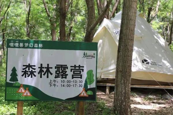 天津嚒嚒兽梦幻森林游玩攻略2