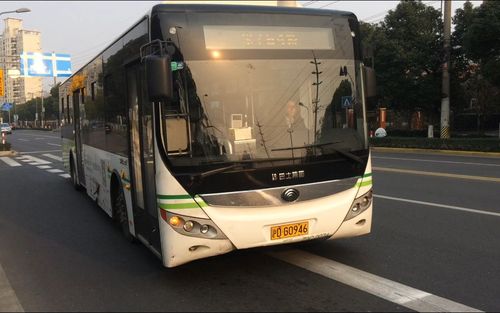 上海巴士国际旅游公司(上海巴士国际旅游有限公司官网)1