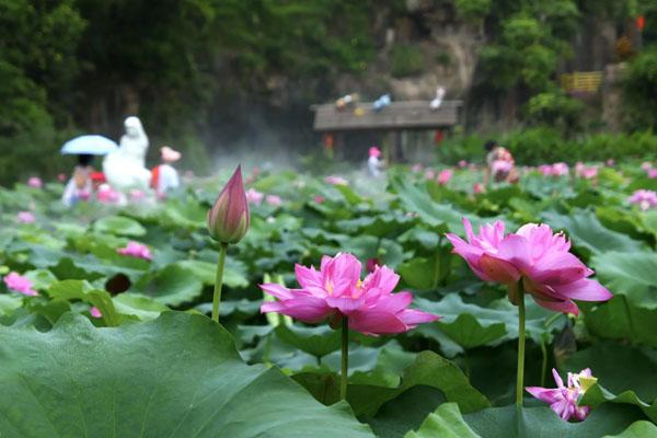 2022佛山西樵山美食攻略2