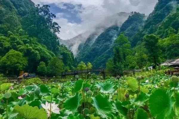 北京通州适合跑步的公园有哪些3