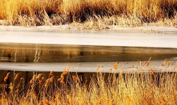 原创 冬季里的永定河美翻了，还不赶快来打卡12