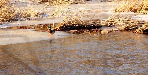 原创 冬季里的永定河美翻了，还不赶快来打卡16