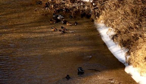 原创 冬季里的永定河美翻了，还不赶快来打卡18