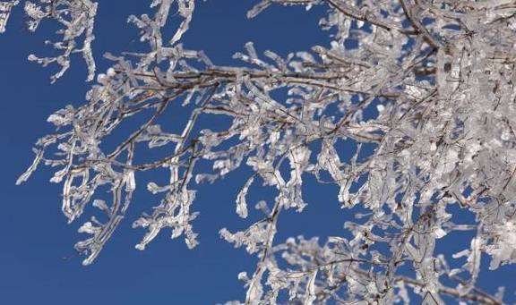 原创 重庆千年“神龟”露出水面,内有2尊佛像,市民纷纷拜祭1