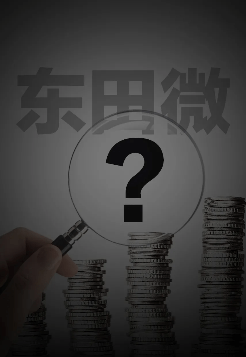 原创 “夫妻店”东田微数据大变脸，被交易所问询推责会计师事务所？1