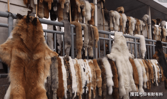 原创 曾一件上万不缺顾客,如今连买带送也无人问津,行业面临“停摆”6