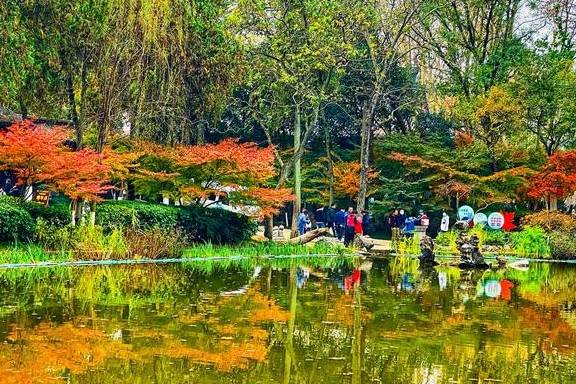 原创 初冬的南京栖霞山，来一场色彩斑斓的旅行12