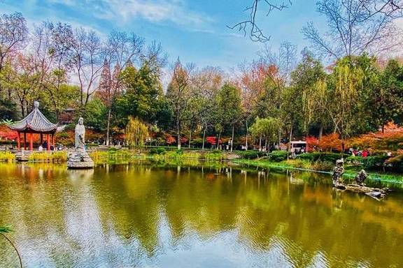 原创 初冬的南京栖霞山，来一场色彩斑斓的旅行10