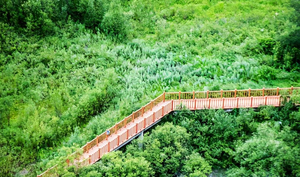 原创 “大清龙脉鹿鼎山”真的存在，藏在大兴安岭，金庸曾在此亲笔题字2