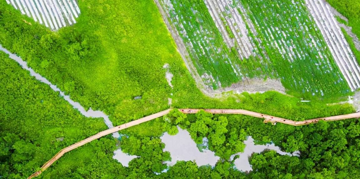 原创 “大清龙脉鹿鼎山”真的存在，藏在大兴安岭，金庸曾在此亲笔题字6