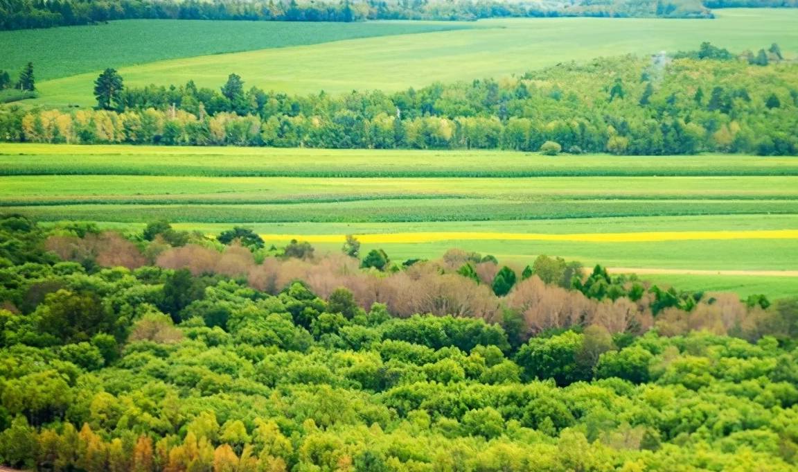 原创 “大清龙脉鹿鼎山”真的存在，藏在大兴安岭，金庸曾在此亲笔题字7