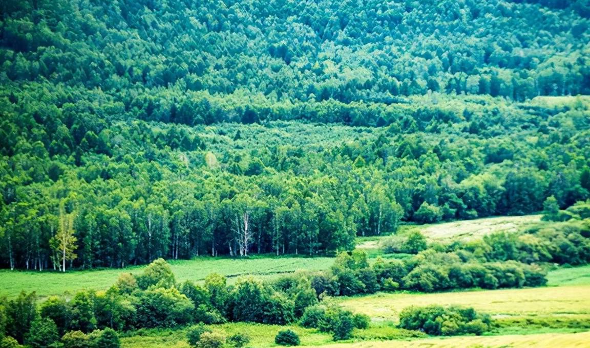 原创 “大清龙脉鹿鼎山”真的存在，藏在大兴安岭，金庸曾在此亲笔题字8