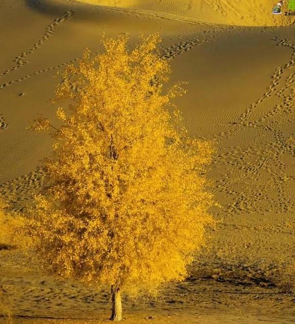 原创 吐血整理!?这6条精华自驾线路!每条线路沿途风景都无比惊艳11