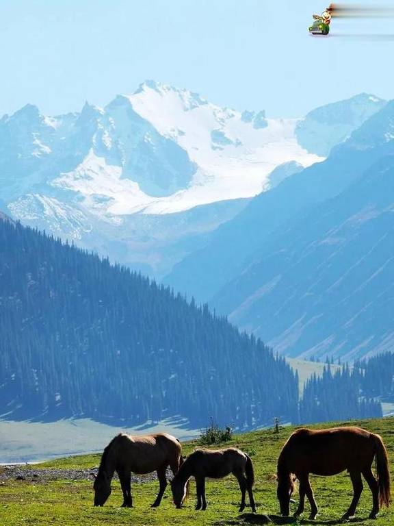 原创 吐血整理!?这6条精华自驾线路!每条线路沿途风景都无比惊艳10