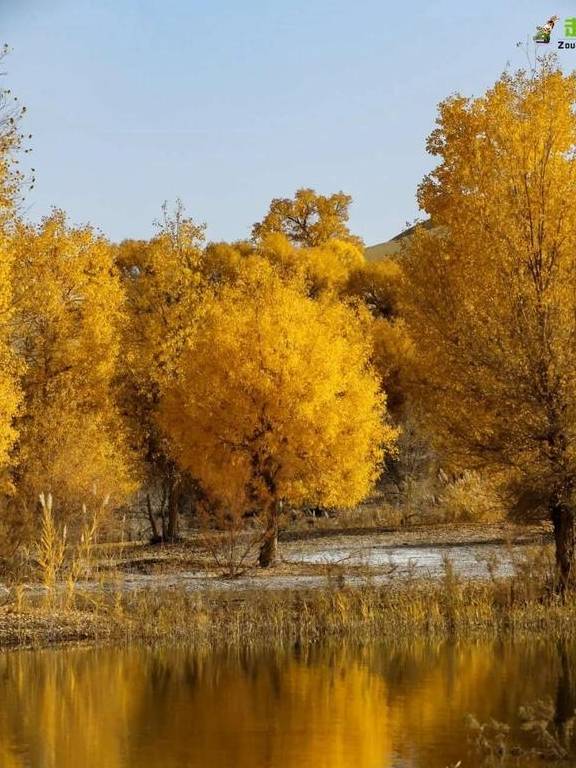 原创 吐血整理!?这6条精华自驾线路!每条线路沿途风景都无比惊艳14