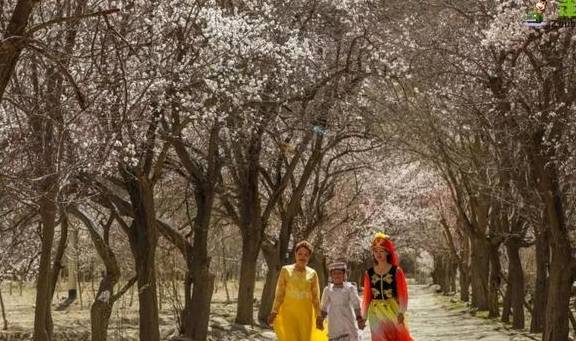 原创 吐血整理!?这6条精华自驾线路!每条线路沿途风景都无比惊艳15