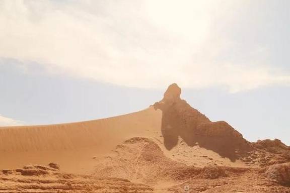 原创 在这个干旱的沙漠里,看千年一遇的花海,人们还用网捕捉大雾3