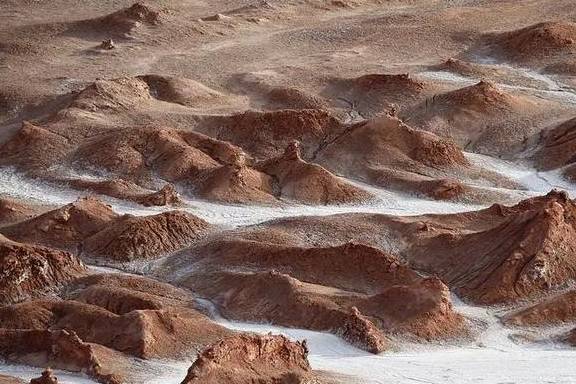 原创 在这个干旱的沙漠里,看千年一遇的花海,人们还用网捕捉大雾4