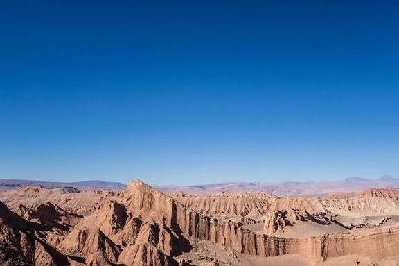 原创 在这个干旱的沙漠里,看千年一遇的花海,人们还用网捕捉大雾5