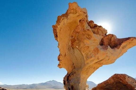 原创 在这个干旱的沙漠里,看千年一遇的花海,人们还用网捕捉大雾6